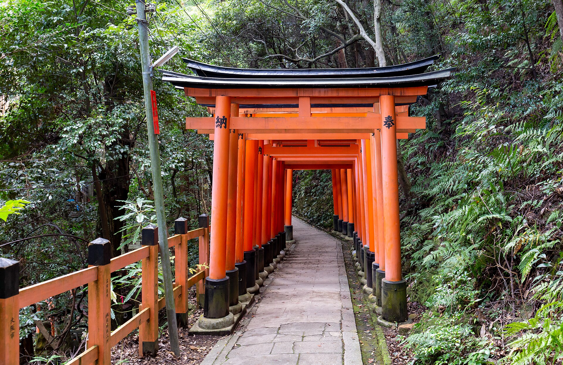 Rows of vermilion torii gates at Fushimi Inari, Kyoto